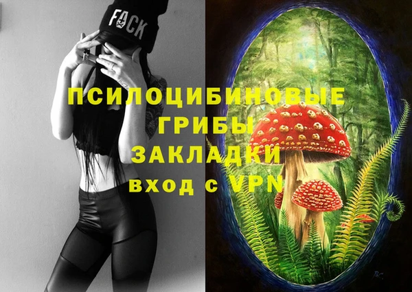 каннабис Лабытнанги