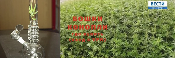 каннабис Лабытнанги