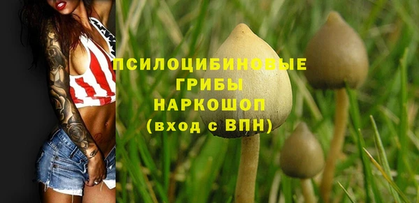 не бодяженный Ладушкин